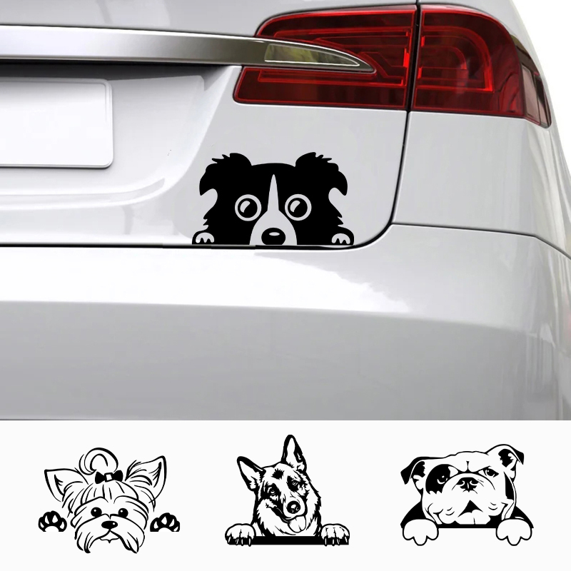 Cars Accessorie Decals Funny D - Laptop Accessories Price ulasan dan harga