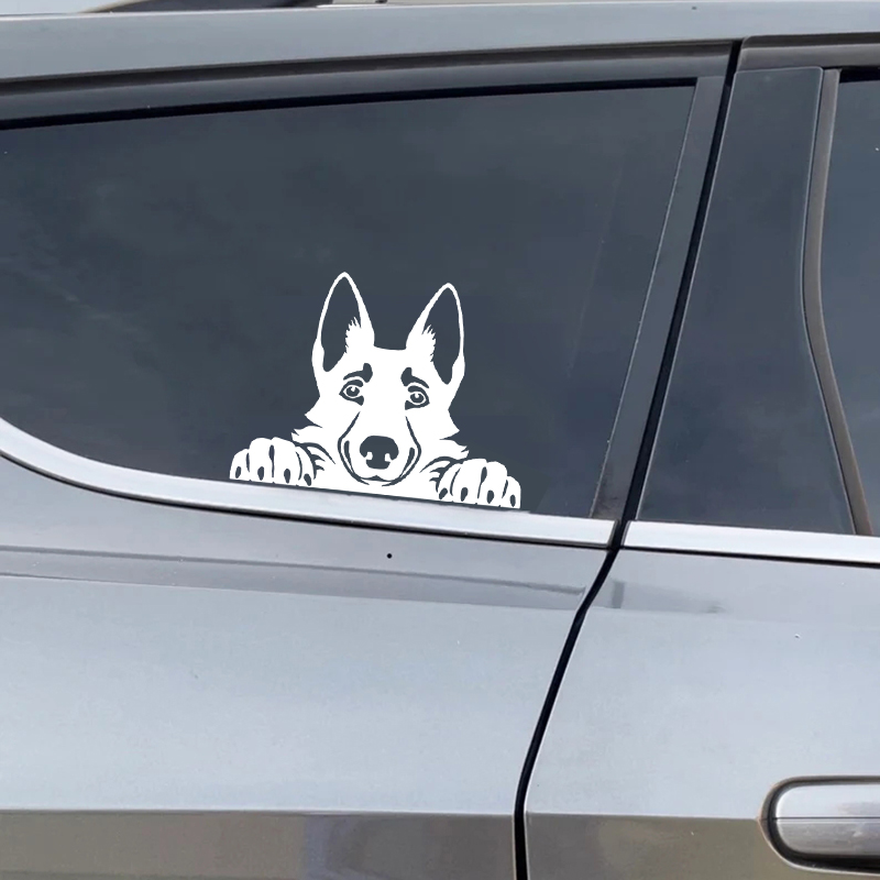 Cars Accessorie Decals Funny D - Laptop Accessories Price ulasan dan harga